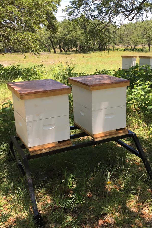 2-Hive Apiary Stand